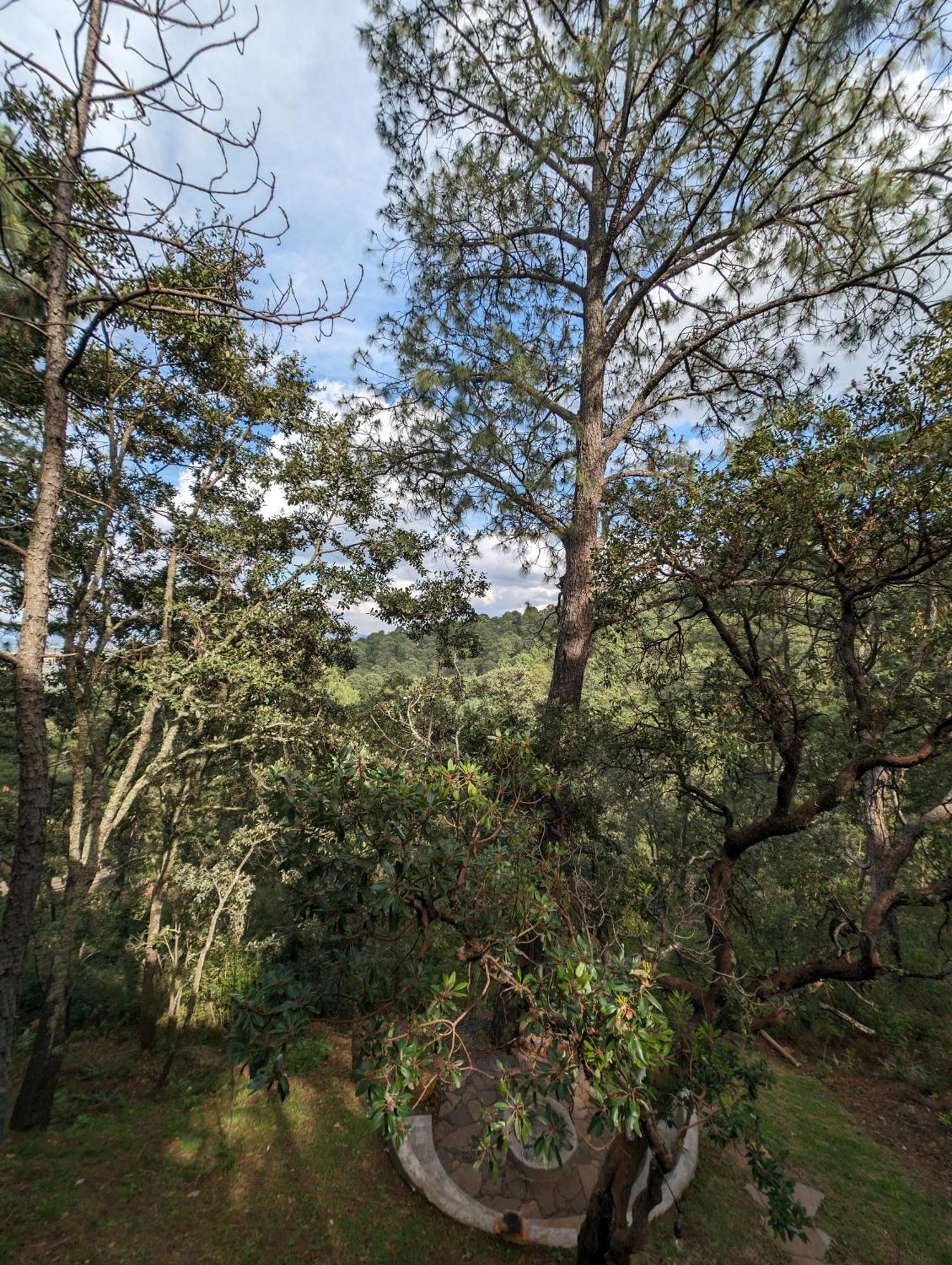 Cabana La Finca Mazamitla Buitenkant foto